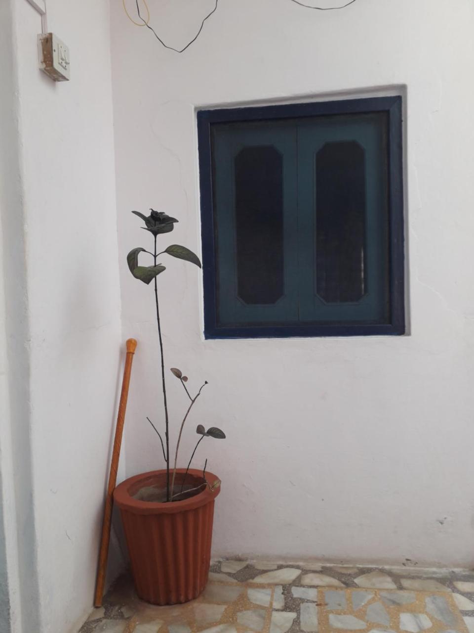 Rajguru Guest House Puškar Exteriér fotografie